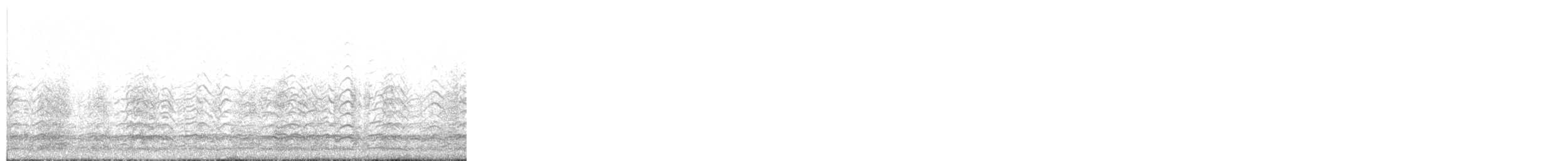 Snow Goose - ML645552073