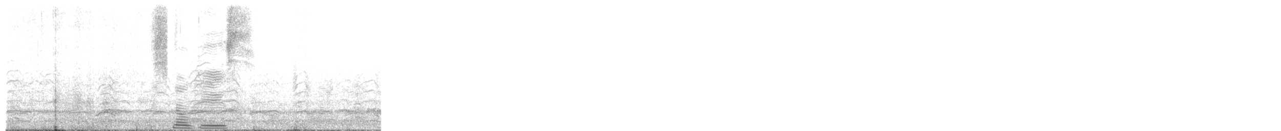 Snow Goose - ML645552075