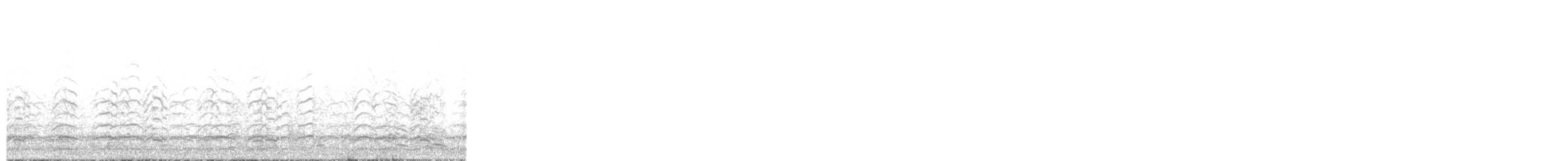 Snow Goose - ML645552076