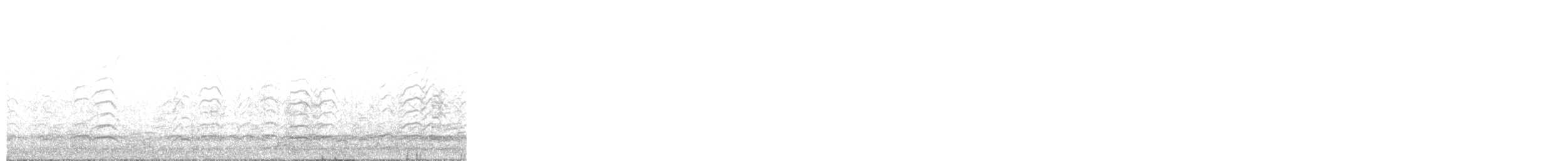 Snow Goose - ML645552078