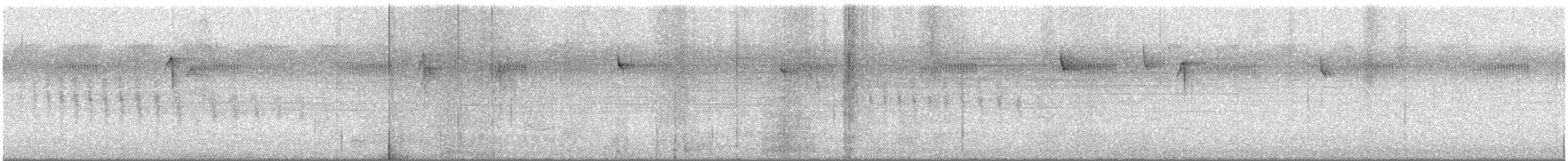 Vireo Solitario - ML645552590