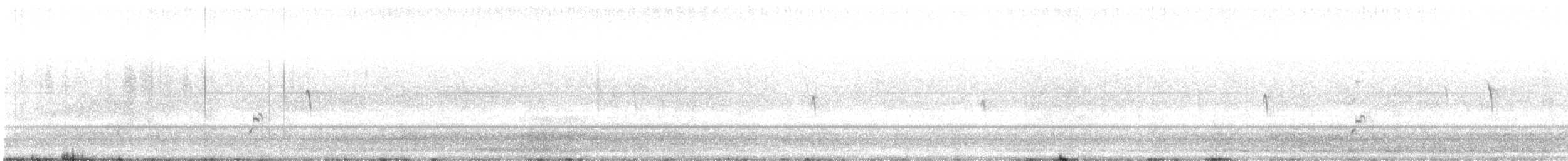 American Avocet - ML645553034