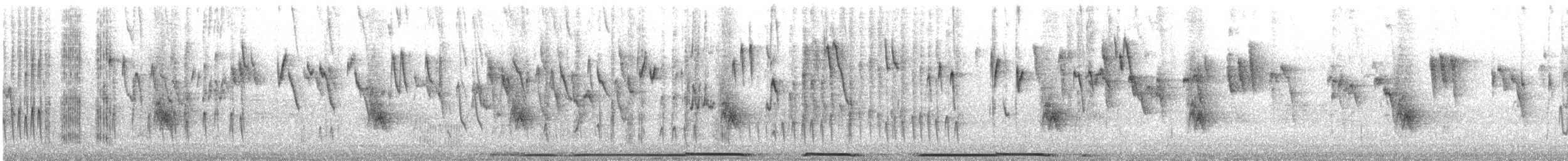 Зенаїда еквадорська - ML645553089