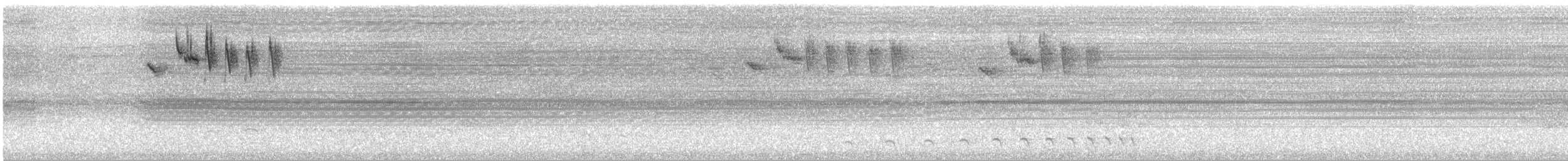 Колібрі-сапфір білобородий - ML645553325