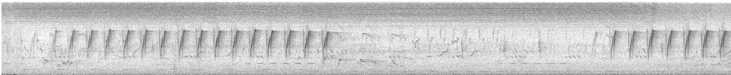 Принія африканська - ML645553534