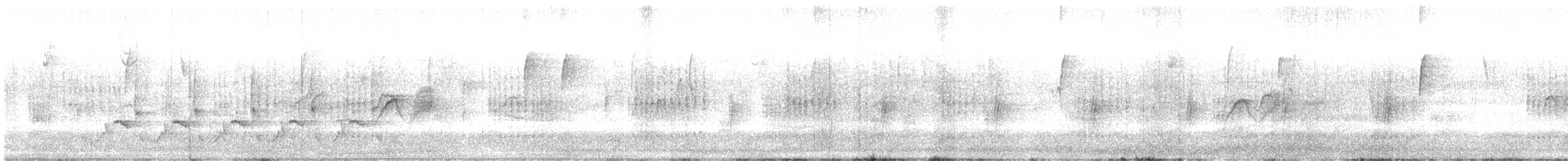 Поплітник каролінський - ML645553976