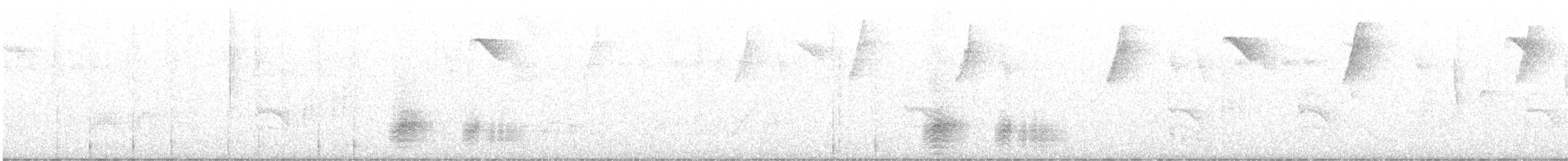 Pale-bellied Tyrant-Manakin - ML645554146