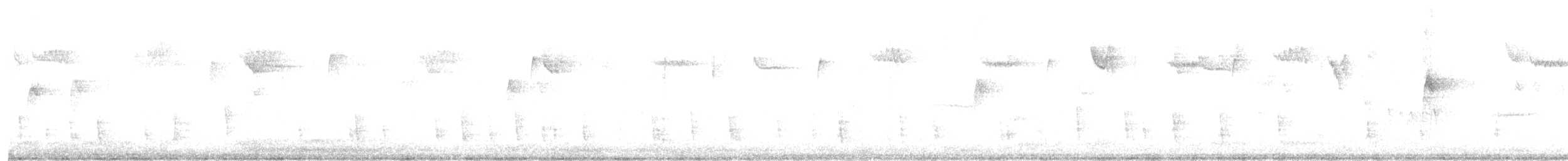 Hermit Thrush - ML645555366