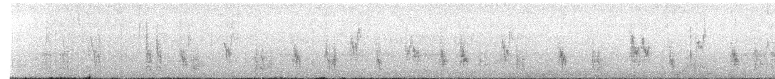 Gorrión Molinero - ML645555665