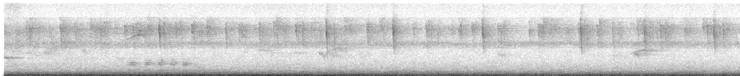 Mangrove Cuckoo - ML645556591