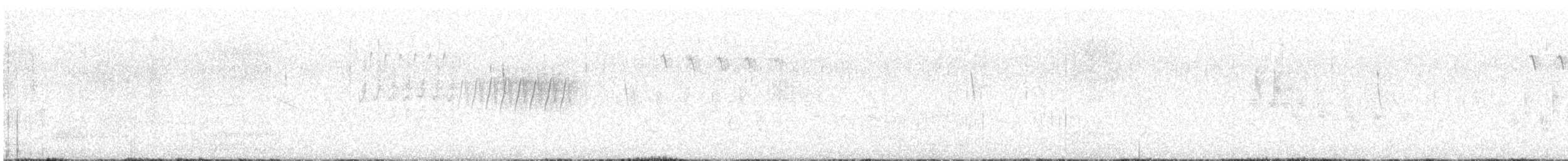 Grass Wren - ML645556916