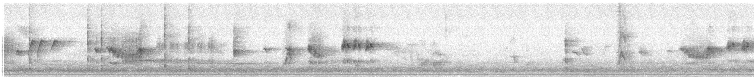 rehek domácí - ML645557290