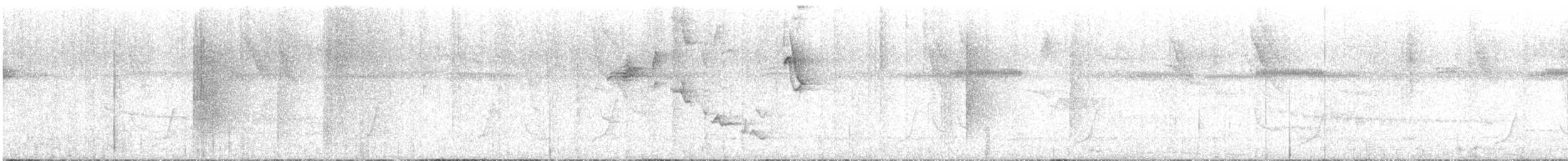 White-collared Manakin - ML645557310