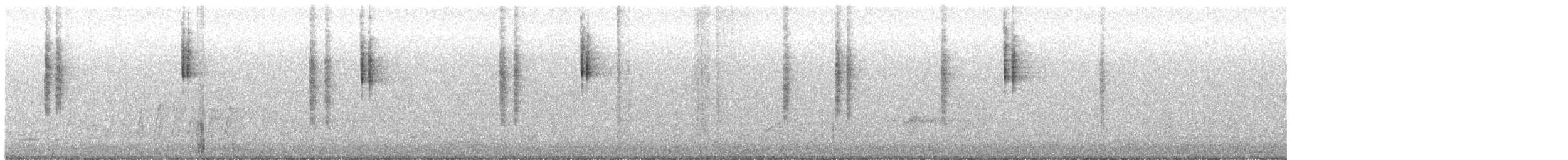 White-browed Scrubwren - ML645557324