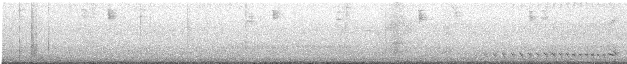 Barred Antshrike - ML645558619