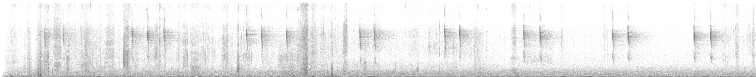 Pacific Wren - ML645558844