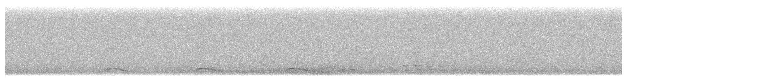 Great Spotted Cuckoo - ML645560473