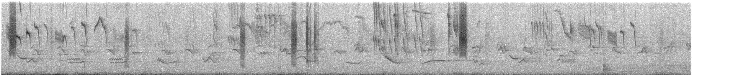 Talamanca Hummingbird - ML645560642