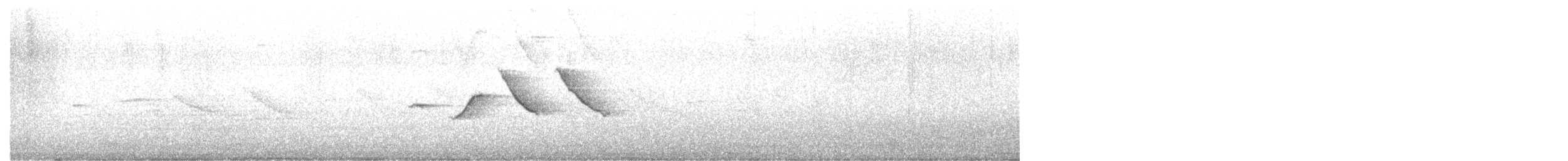 アカエリシトド - ML645561178