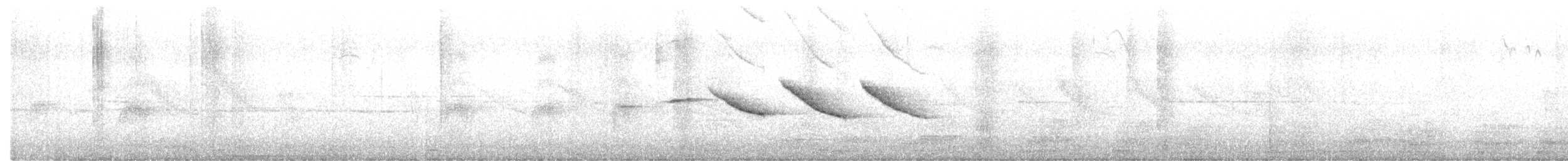 アカエリシトド - ML645561179