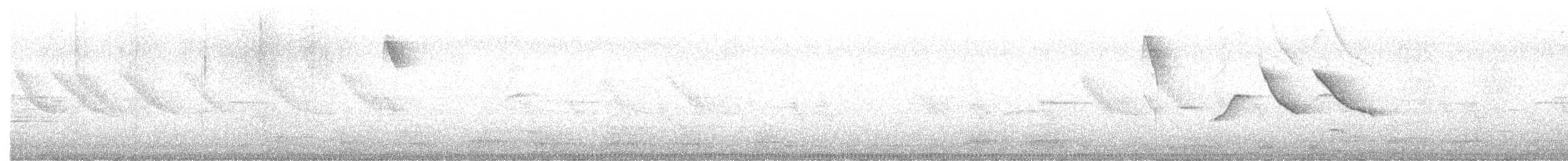 アカエリシトド - ML645561181