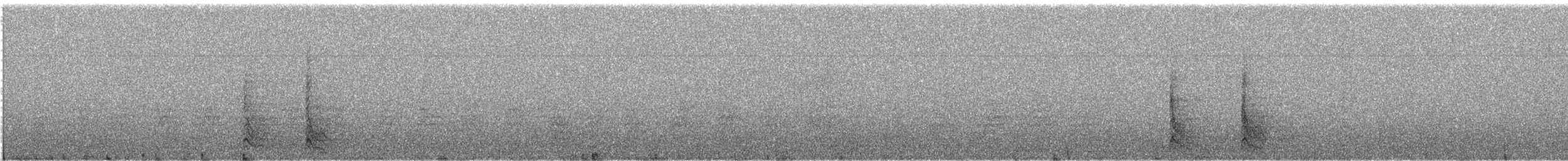 Red-bellied Woodpecker - ML645561448