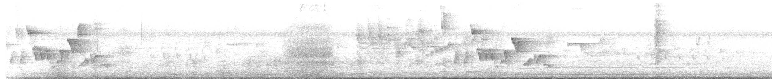 Southern House Wren - ML645561538