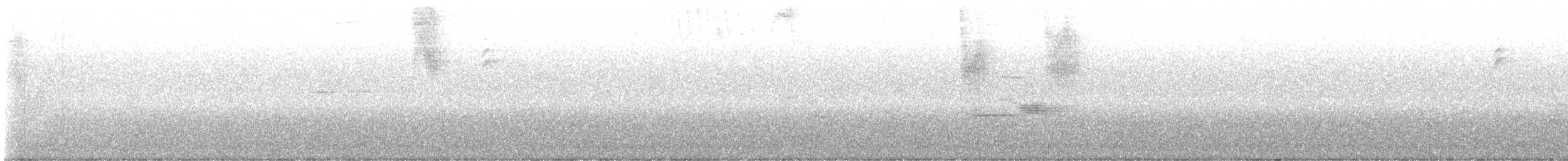 Black-faced Solitaire - ML645561888