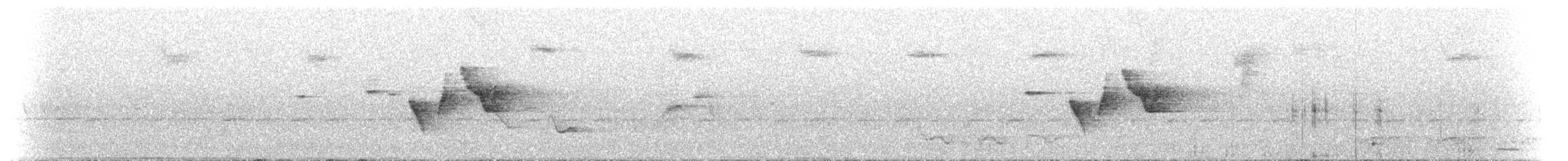 Eastern Bristlebird - ML645562291