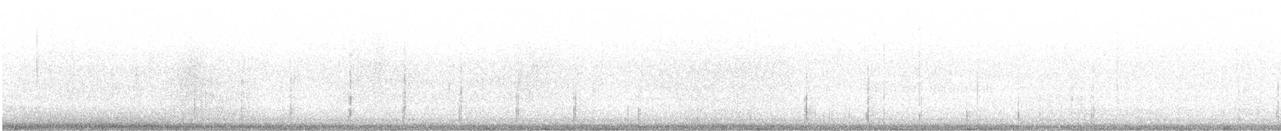 Zata arrunta - ML645563331