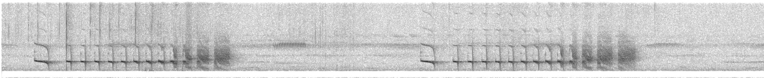 Spix's Warbling-Antbird - ML645563353