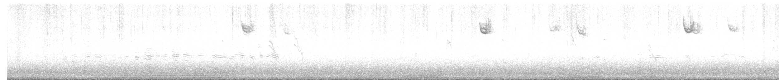 White-throated Sparrow - ML645563775