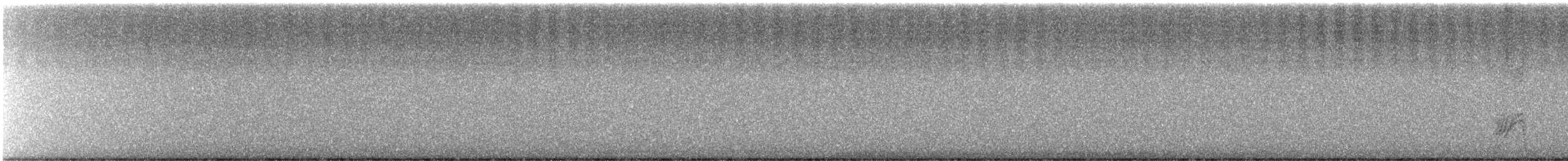 Florida Scrub-Jay - ML645564111