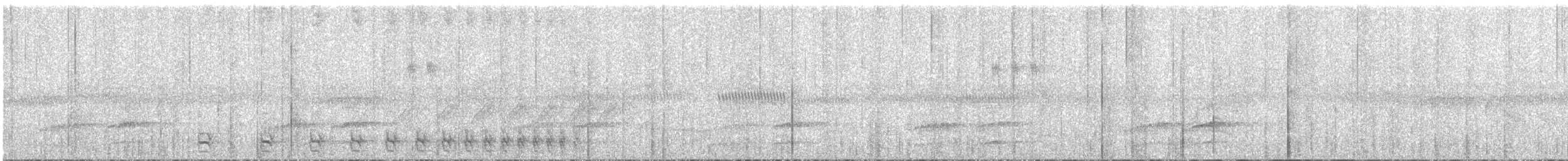 Natterer's Slaty-Antshrike - ML645564277