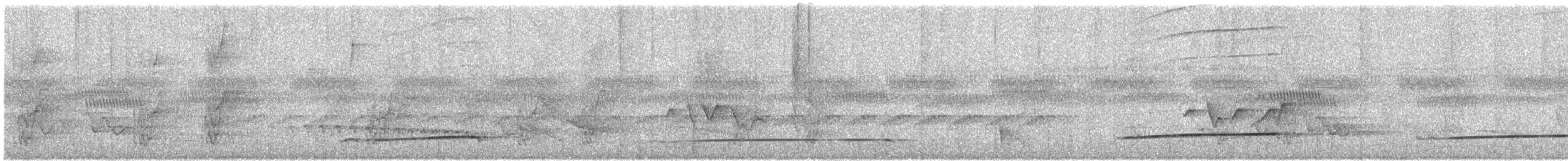 Eastern Striolated-Puffbird - ML645564538