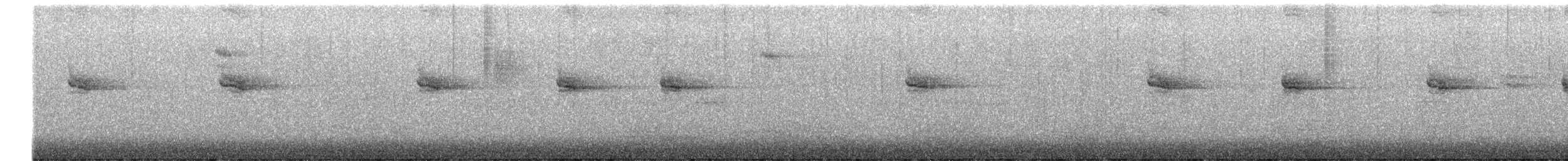 Tuntun arrunta - ML645564814