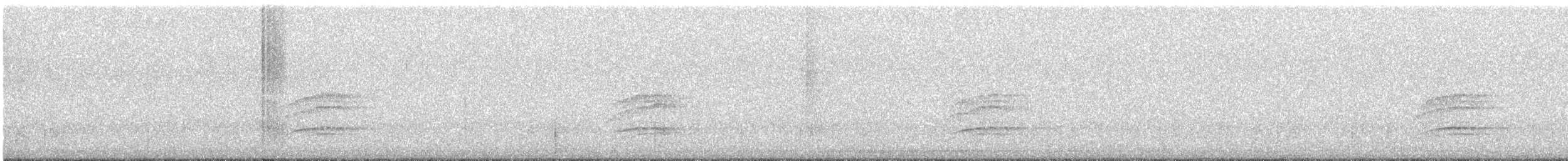 Einsiedler-Musendrossel - ML645565914