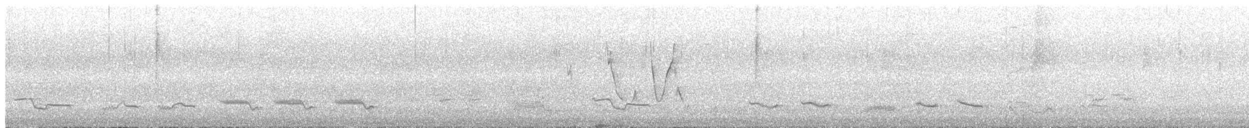 Rotbauchdrossel - ML645565917