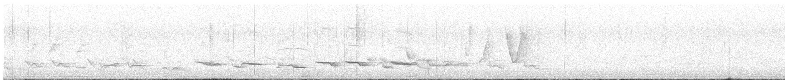 Rotbauchdrossel - ML645565918