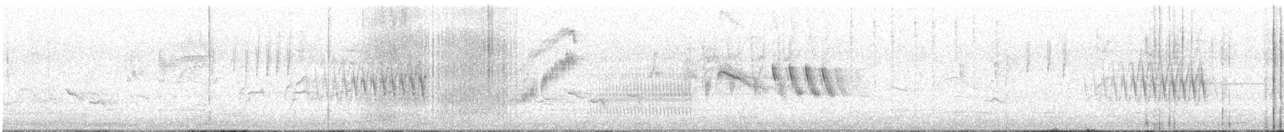 Spiegelsamenfresser - ML645565935