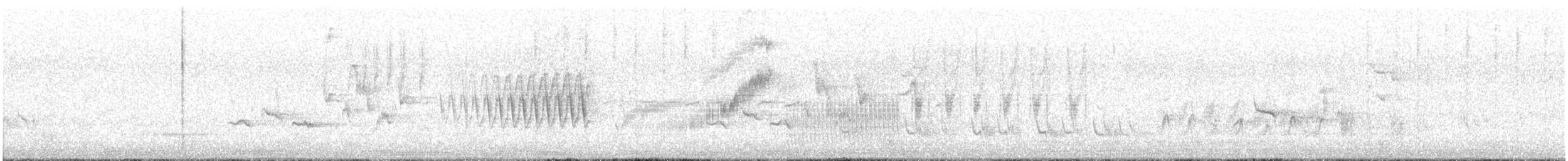 Spiegelsamenfresser - ML645565936