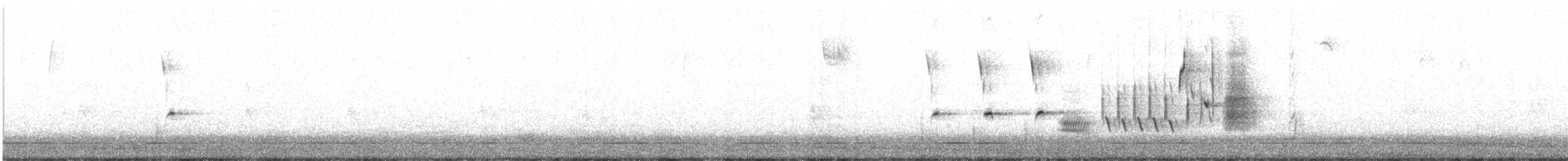 Singammer - ML645566185