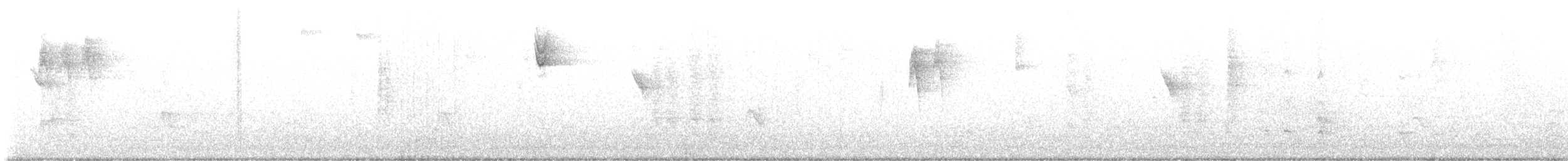 Rundschwanzhabicht - ML645567362