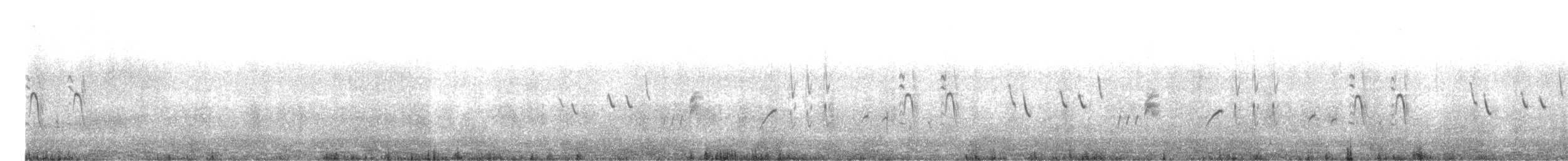 Strichelhuscher - ML645567413