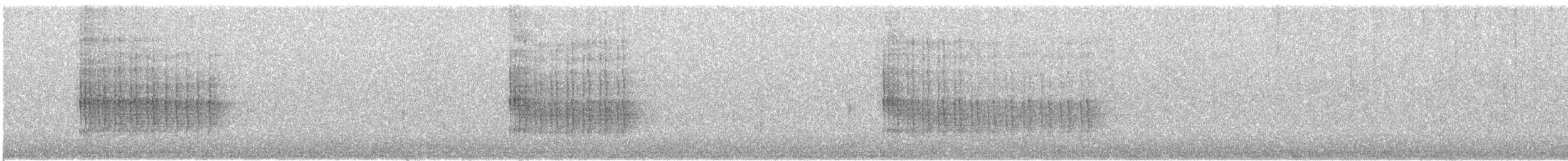 Belted Kingfisher - ML645568357