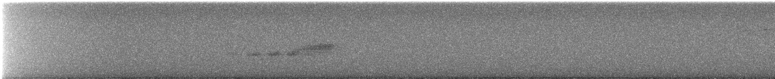 Black-throated Blue Warbler - ML645568373