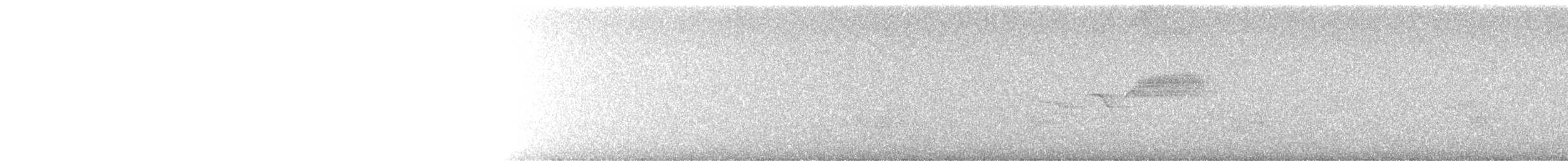 סבכון שחור-גרון - ML645568546