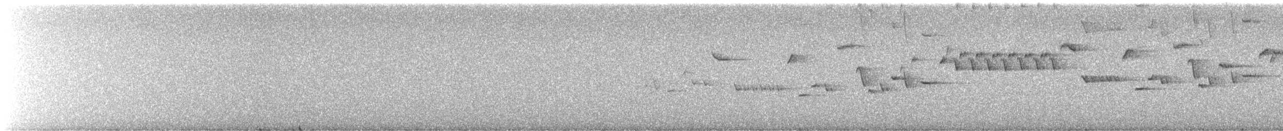 Winter Wren - ML645568570