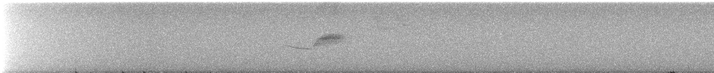 סבכון שחור-גרון - ML645568580