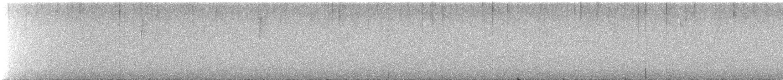 Black-throated Blue Warbler - ML645568604